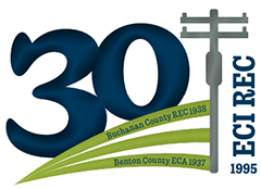 ECI REC 30th anniversary logo